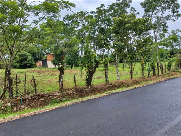 🌿 LOT OF 2,209 m² FOR SALE | MUELLE DE LA PALMERA, SAN CARLOS in La Palmera, San Carlos, Alajuela — ₡ 40 000 000 - Photo 3 of 5