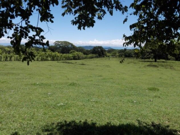Finca con Teca y Potencial Turístico cerca del Mar #26-981 GS en Lepanto, Puntarenas — $600,000