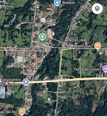 Venta de Finca de 10 hectáreas planas de uso mixto en Guácimo, Limón