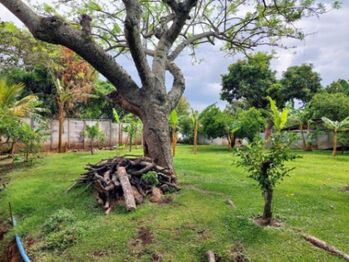 Venta de Lote en Desamparados de Alajuela. RAH 25-190 en Desamparados, Alajuela — 89 320 000 ₡ - Foto 5 de 12
