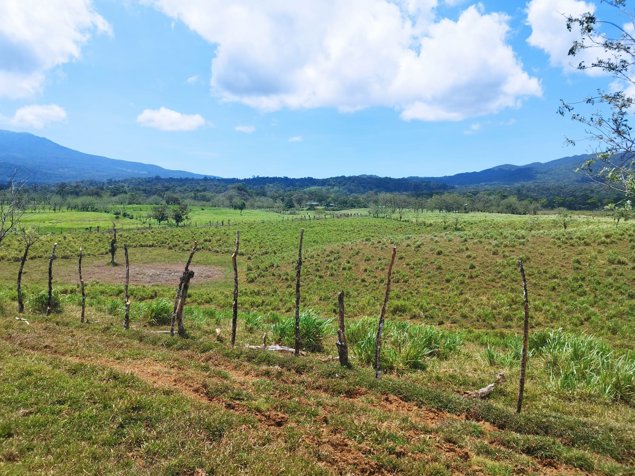 Se Vende (Venta) Finca Producción, Dos Ríos Upala  Cod FU 1369 in Upala, Alajuela — $6,776,000