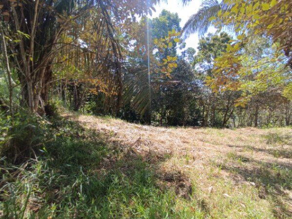 Lote en la montaña ideal para vivir en Parrita, Puntarenas — $19