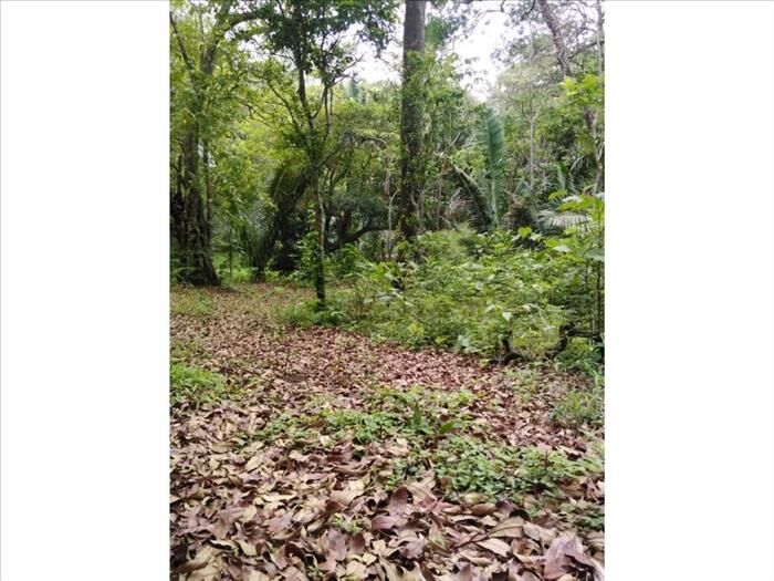 VENTA DE FINCA, GUANACASTE, SANTA CRUZ, RETALLANO in Santa Cruz, Guanacaste — $575,000