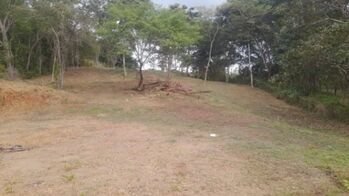 🌴 VENTA DE LOTE – Guanacaste, Santa Cruz en Santa Cruz, Guanacaste — 73 000 000 ₡ - Foto 5 de 11