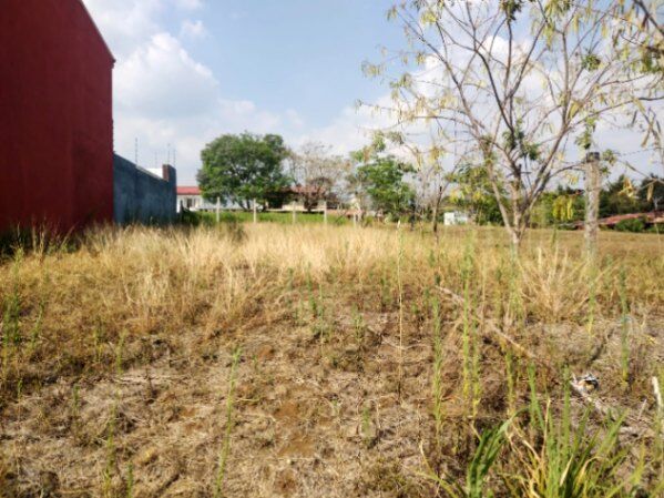 Lote en Canoas de Alajuela en Alajuela — ₡ 35 000 000 - Foto 2 de 9