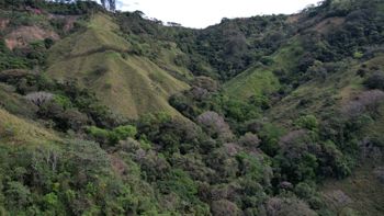 Agricultural Land for Sale in Atenas with Stunning Mountain Views in Mercedes, Atenas, Alajuela — 77 500 000 ₡ - Photo 5 of 19