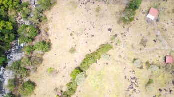 2.7 hectares con rio pristina, Guadalajara, Buenos Aires en Buenos Aires, Puntarenas — $125,000 - Foto 4 de 17