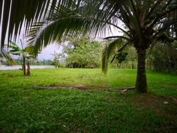 450 metros sur del Comando en Puerto Viejo, Sarapiquí, Heredia — 35 000 000 ₡ - Foto 5 de 11