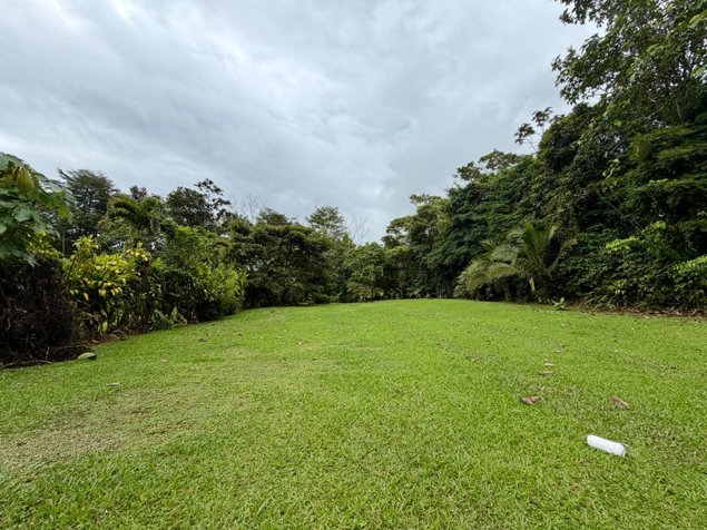 Venta de lote para desarrollo turístico y comercial en Río Cuarto in Río Cuarto, Alajuela — $120,000 - Photo 2 of 11