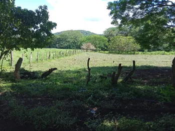 ¡Terreno de 1000 m² a minutos del centro de Nicoya  Oportunidad única de inversión