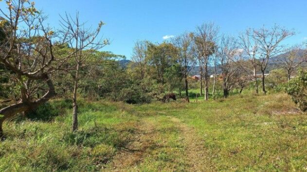 Venta de Lote en Desamparados-San Miguel. RAH 25-1406  in San Miguel, Desamparados, San José — $800,000