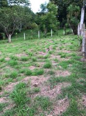 Venta de lote # 2 en Rio Grande, Atenas en Atenas, Alajuela — 25 000 000 ₡ - Foto 3 de 3