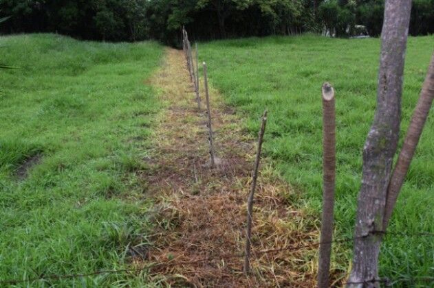 Se vende amplio lote de 2 hectáreas en Póas Alajuela 23-1912 en Carrillos, Poás, Alajuela — $469,000