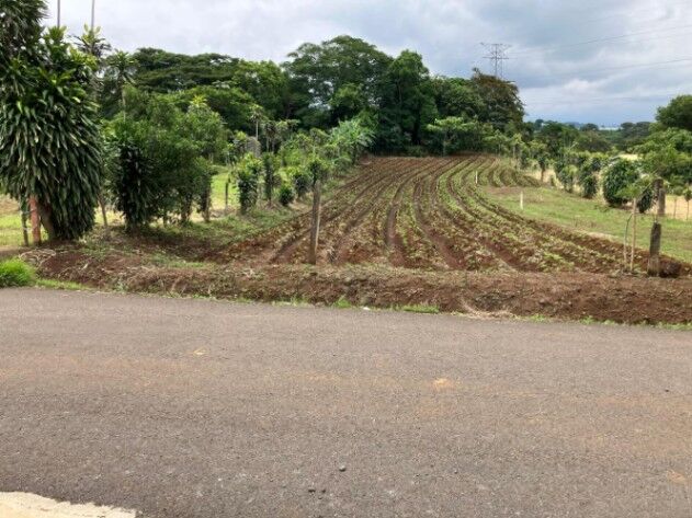 SE VENDE UNA JOYA DE PROPIEDAD EN ATENAS.  en Santa Eulalia, Atenas, Alajuela — ₡ 112 000 000