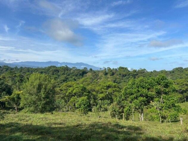 LOTE EN VENTA, SARAPIQUI HEREDIA $410.000 COD#26-910 en La Virgen, Sarapiquí, Heredia — $410,000