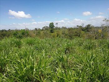 Finca en Venta San Rafael, Guatuso, Alajuela