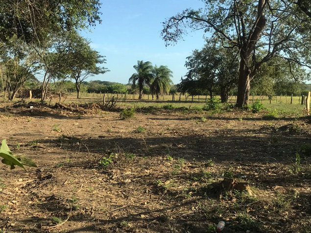 AMPLIOS LOTES EN LIBERIA   (AL) en Liberia, Guanacaste — ₡ 25 000 000