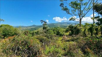 Land For Sale Cajón, Pérez Zeledón, San José