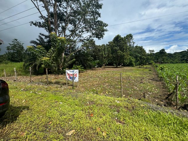 Se Vende Lote en Puerto Jiménez in Puerto Jiménez, Golfito, Puntarenas — ₡ 40 000 000