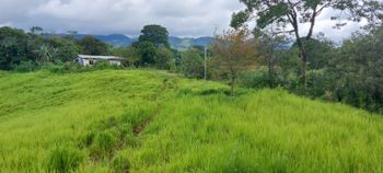 Finca en venta en San Carlos, 3.7 hectáreas con casa para restaurar en Venecia, San Carlos, Alajuela — $272,000 - Foto 2 de 43