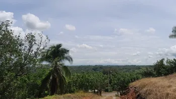 ESPECTACULAR FINCA EN SAN MATEO DE ALAJUELA. 