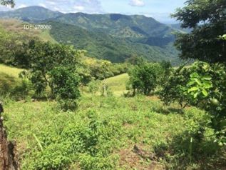 Propiedad con vista al golfo. en Bejuco, Nandayure, Guanacaste — 160 000 000 ₡ - Foto 5 de 26