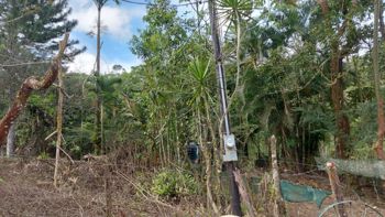 Finca en venta en La Tigra, San Carlos, con riachuelo en La Tigra, San Carlos, Alajuela — $89,000 - Foto 4 de 26