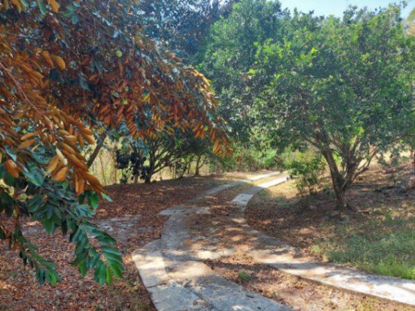 Venta de Casa en Coyolar de Orotina. RAH 24-1709 en Coyolar, Orotina, Alajuela — ₡ 200 000 000