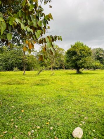 Finca en excelente ubicación  in Canoas, Corredores, Puntarenas — $1,100,000,000