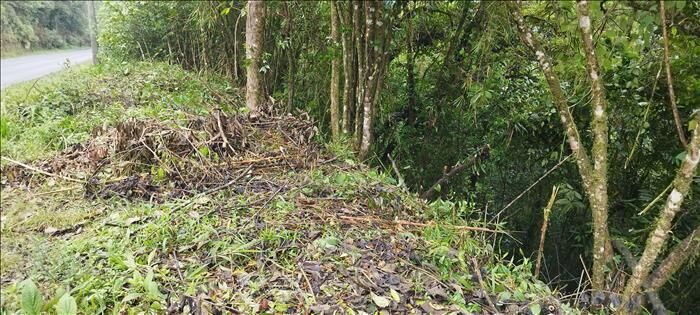 1 Hectarea de bosque en San Isidro, El Guarco, Cartago — ₡ 23 000 000