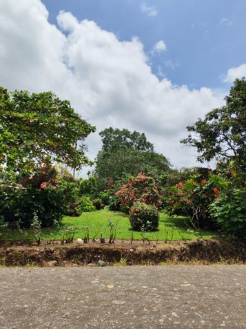 🌋 Terreno de 560 m² con vista al volcán a solo 8 minutos de La Fortuna in La Fortuna, San Carlos, Alajuela — ₡ 20 000 000