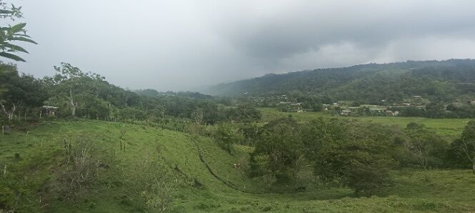 Venta de lote en Barrio Orotina, La Isla, San Vito de Coto Brus, Puntarenas. in San Vito, Coto Brus, Puntarenas — ₡ 12 000 000