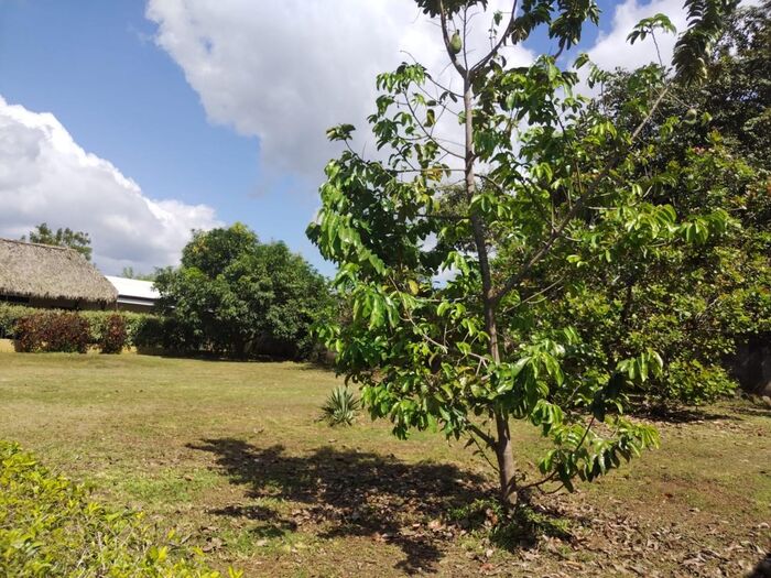 VENTA DE DOS LOTES, ALAJUELA, OROTINA, CONDOMINIO PACIFIC SUN in Orotina, Alajuela — ₡ 50 000 000