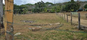 TERRENO EN JUANILAMA DE ESPARZA en San Juan Grande, Esparza, Puntarenas — 40 000 000 ₡ - Foto 5 de 10