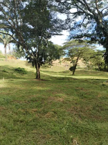 Tropical Paradise, Playa Bejuco, Costa Rica!!!! en Parrita, Puntarenas — $500,000