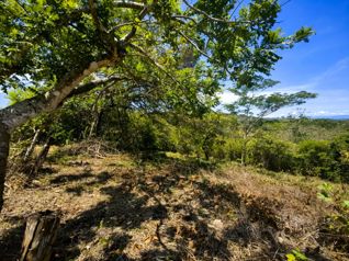 Lote con vista al Golfo de Nicoya | Esparza | Puntarenas en Espíritu Santo, Esparza, Puntarenas — $49,284 - Foto 5 de 21