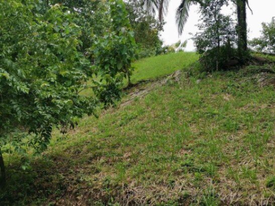 Venta de Lote cerca de la Playa en Parrita, Puntarenas. en Parrita, Puntarenas — $81,000