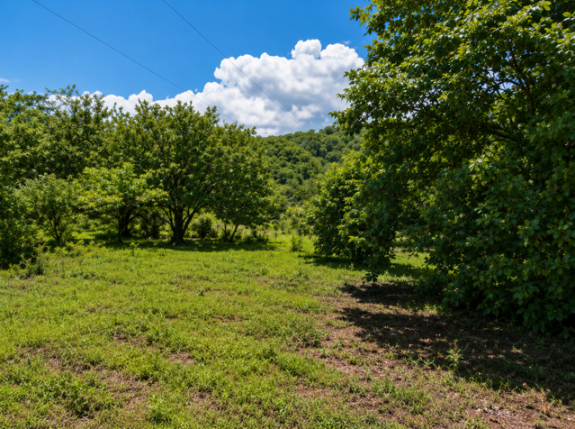 Lot with Buildable Area and Protected Forest in Las Delicias de Cóbano in Cóbano, Puntarenas — $330,000 - Photo 3 of 5