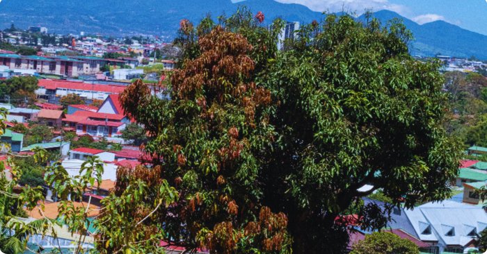 🏞️✨ Lote en Venta en La Colina, Curridabat en Curridabat, San José — ₡ 100 000 000 - Foto 2 de 9