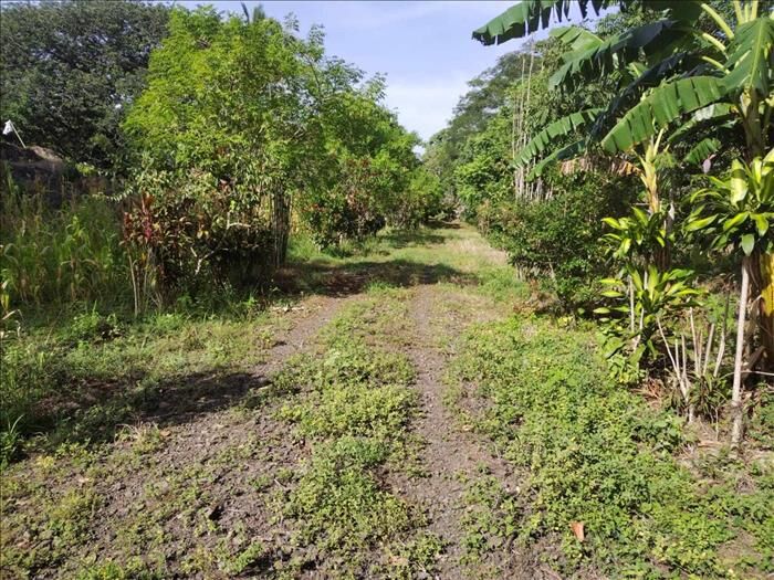 SEVENDE ESPECTACULAR FINCA EN ATENAS, ALAJUELA. en Atenas, Alajuela — $800,000