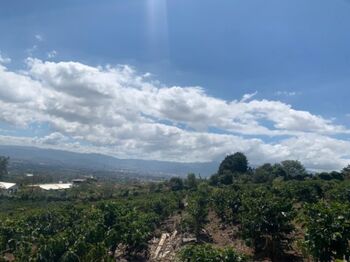Espectacular finca cafetalera con vistas al Valle Central en San Pablo de Heredia #25-1394 GS in Concepción, San Rafael, Heredia — $5,770,931 - Photo 5 of 13