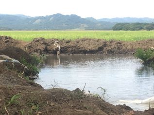 Finca agricola ganadera 294 Ha en Filadelfia Gte en Filadelfia, Carrillo, Guanacaste — $2,352,000 - Foto 4 de 8