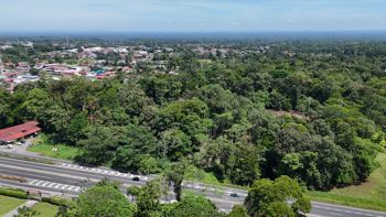 VENTA DE FINCA ALTA DENSIDAD Y COMERCIAL, LIMÓN, GUÁPILES en Guápiles, Pococí, Limón — $574,600 - Foto 5 de 10