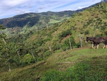 Venta de Lote en Turrialba-Cartago. RAH 26-1276 in La Suiza, Turrialba, Cartago — $80,000 - Photo 5 of 13