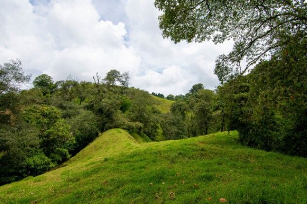 VENTA DE FINCA, CARTAGO, CARTAGO, LLANO GRANDE in Llano Grande, Cartago — ₡ 225 000 000