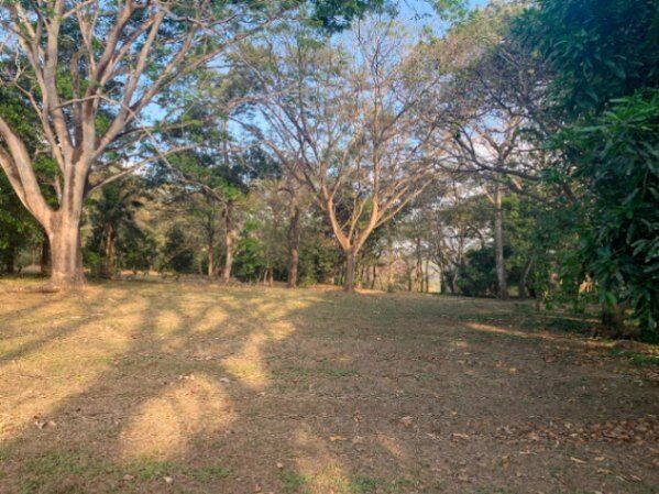 FINCA DE 6 HA EN HACIENDA VIEJA DE OROTINA, ALAJUELA en Orotina, Alajuela — $550,000