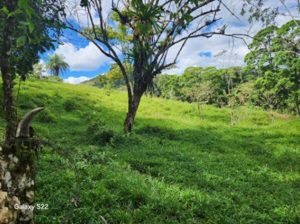 Se vende propiedad de 8 hectáreas  en Carara, Turrubares, San José — ₡ 4 000 000