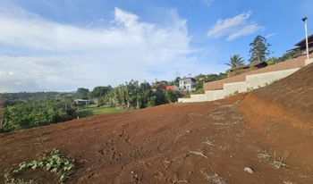 Venta de Lote con Preciosas Vistas a San Ramón Centro en San Isidro, San Ramón, Alajuela — 38 750 000 ₡ - Foto 4 de 7