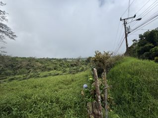 Terreno en venta en Las Nubes de Coronado 2 .1 hectareas in Cascajal, Vázquez de Coronado, San José — $300,000 - Photo 3 of 6
