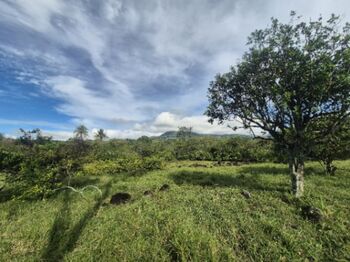 9+ hectares en Miraflores con rio y plano, Perez Zeledon in El General, Pérez Zeledón, San José — $599,999 - Photo 4 of 7
